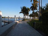 Enlarge photo 84