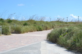 Enlarge photo 48