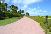 Enlarge photo 62