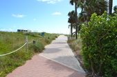 Enlarge photo 61