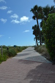 Enlarge photo 65