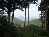 Enlarge photo 31