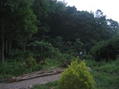 Enlarge photo 33