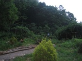 Enlarge photo 35