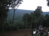 Enlarge photo 37