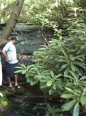 Enlarge photo 46