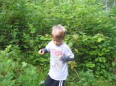 Enlarge photo 16