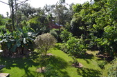 Enlarge photo 52
