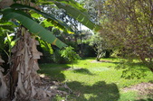 Enlarge photo 58