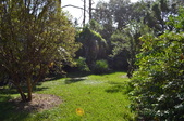 Enlarge photo 55