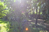 Enlarge photo 56