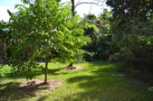 Enlarge photo 59