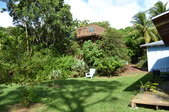 Enlarge photo 62