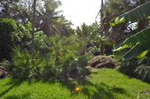 Enlarge photo 61