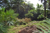 Enlarge photo 63