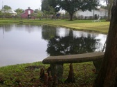 Enlarge photo 25