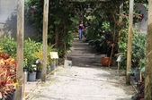 Enlarge photo 36