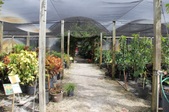 Enlarge photo 38