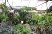 Enlarge photo 39