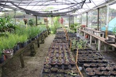 Enlarge photo 41