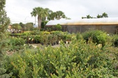 Enlarge photo 43