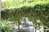 Enlarge photo 45
