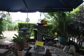 Enlarge photo 47