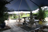 Enlarge photo 49