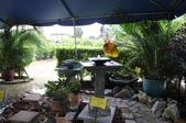 Enlarge photo 52