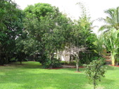 Enlarge photo 26