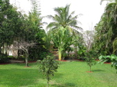 Enlarge photo 27