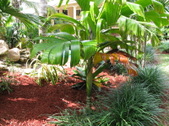 Enlarge photo 28
