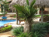 Enlarge photo 29