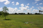 Enlarge photo 41