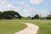 Enlarge photo 55
