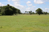 Enlarge photo 56