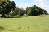 Enlarge photo 57