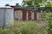 Enlarge photo 62