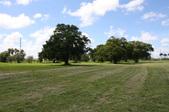 Enlarge photo 63
