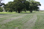 Enlarge photo 66