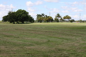 Enlarge photo 67