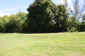 Enlarge photo 69