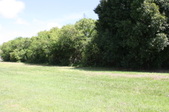 Enlarge photo 70