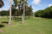 Enlarge photo 71