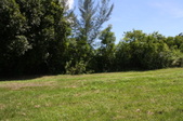 Enlarge photo 74