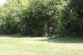 Enlarge photo 73