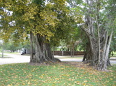 Enlarge photo 37