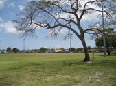 Enlarge photo 47