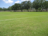 Enlarge photo 49