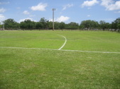 Enlarge photo 50
